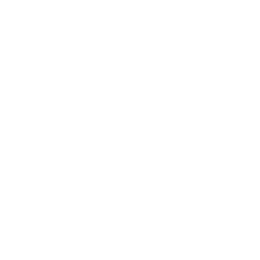 icon cybersecurity white